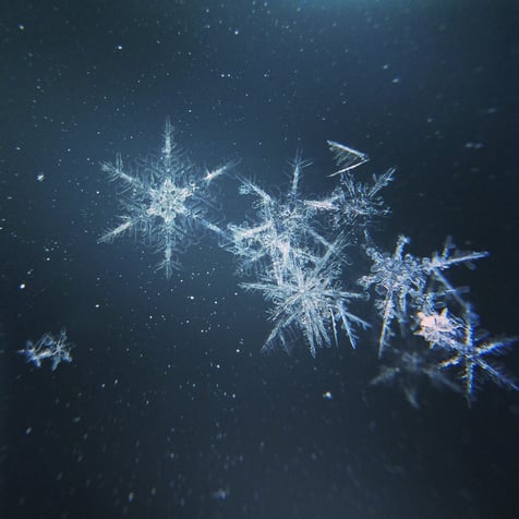 Feature Spotlight: Snowflake-Powered Data Explorer