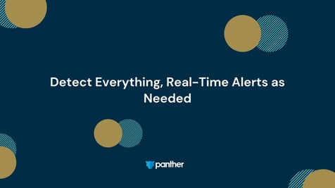Detect Everything, Real-Time Alerts As Needed