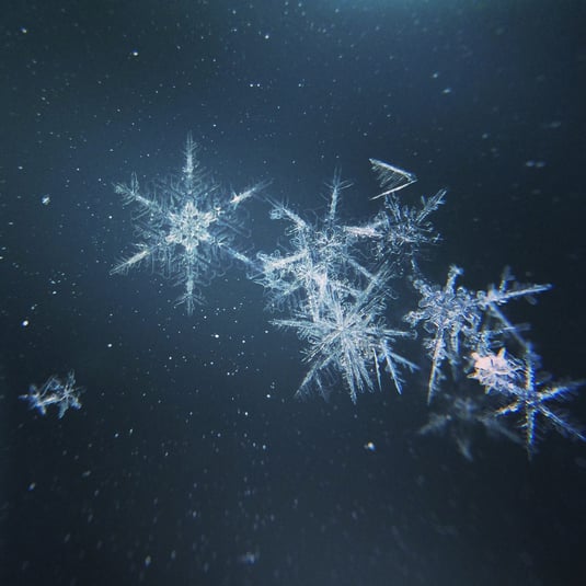 Snowflake-Powered Data Explorer